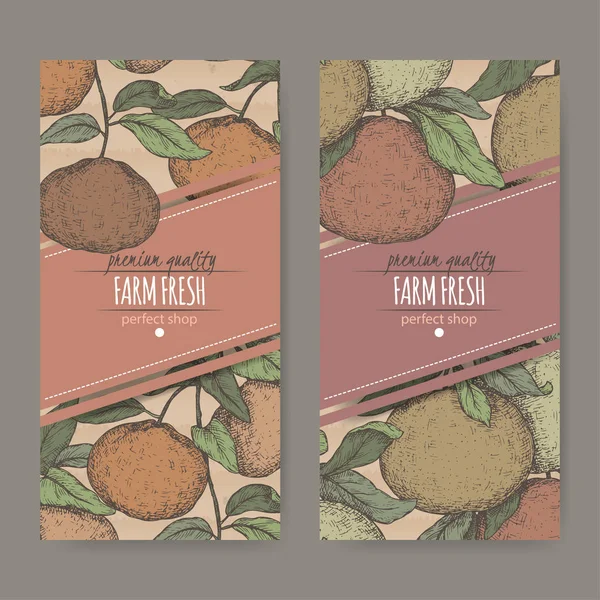 İki etiket karton üzerine mandalina ve greyfurt renk kroki ile.