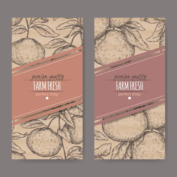 Mandalina ve greyfurt ile iki etiket karton üzerinde kroki.