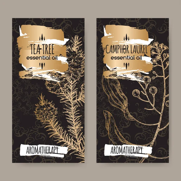 2 labels with tea tree and camphorwood branch sketch on black background. — Stock Illustration 2 labels with tea tree and camphorwood branch sketch on black background. Stock Illustration