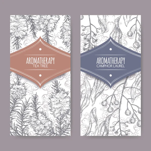 2 labels with tea tree and camphorwood branch sketch on elegant lace background. — Stock Illustration 2 labels with tea tree and camphorwood branch sketch on elegant lace background. Royalty Free Stock Vectors