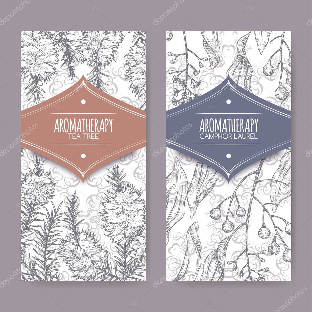 2 labels with tea tree and camphorwood branch sketch on elegant lace background.