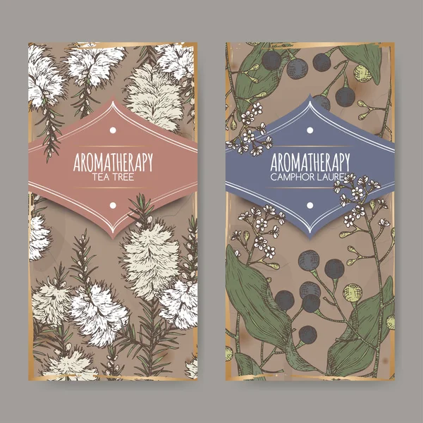 2 labels with tea tree and camphorwood branch color sketch on vintage background. — Stock Illustration 2 labels with tea tree and camphorwood branch color sketch on vintage background. Vector Graphics