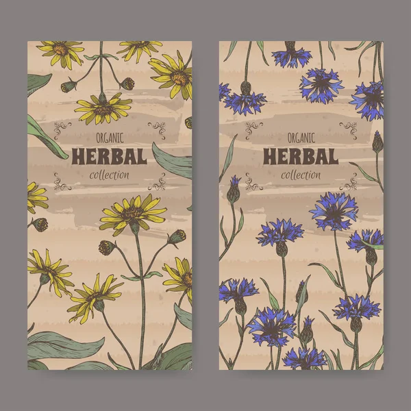 Conjunto de duas etiquetas coloridas com Arnica montana aka mountain arnica e Centaurea cyanus aka cornflower ou botão de solteiro . —  Vetores de Stock