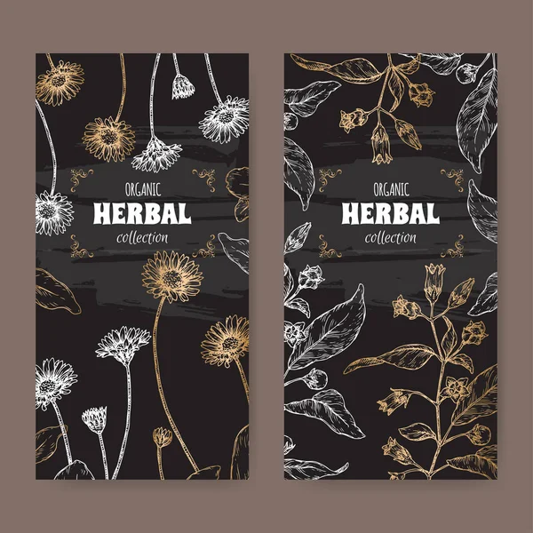 Conjunto de dos etiquetas negras con Bellis perennis aka daisy y Atropa belladonna aka belladonna o boceto de sombrilla mortal . — Vector de stock