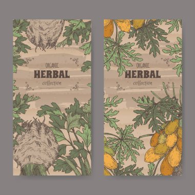 Apium graveolens aka kereviz ile iki etiket ve carica papaya aka papaya ağaç Renk eskiz. Yeşil eczacı serisi.