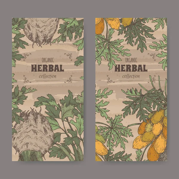 Dos etiquetas con apio graveolens aka apio y carica papaya aka papaya árbol de color bosquejo. Serie boticario verde . — Vector de stock