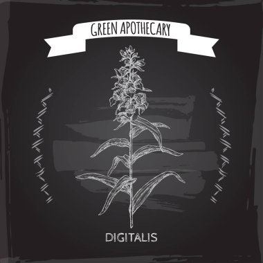 Digitalis LaNaTa aka yün Foxglove kroki siyah. Yeşil eczane serisi.