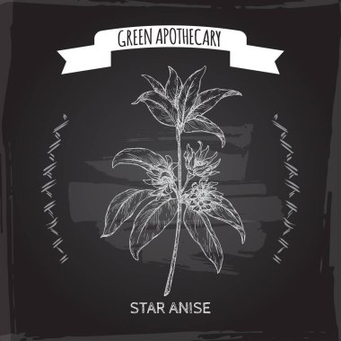 Siyah üzerinde Illicium verum aka Yıldız anason veya badiane kroki. Yeşil eczane serisi.