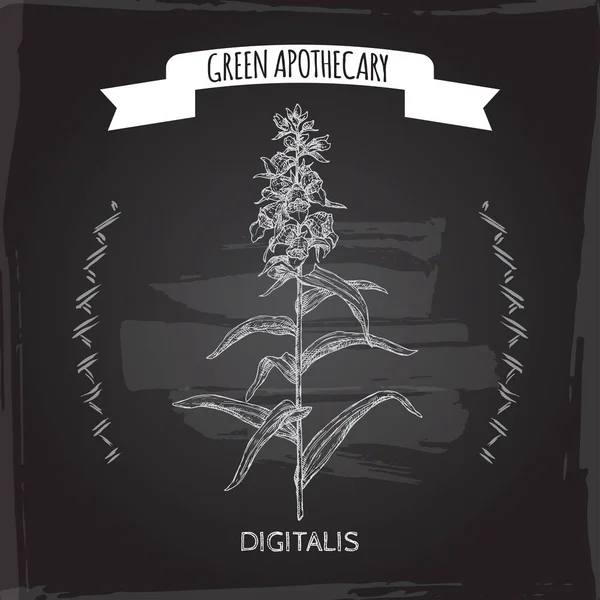 Digitalis LaNaTa aka yün Foxglove kroki siyah. Yeşil eczane serisi.