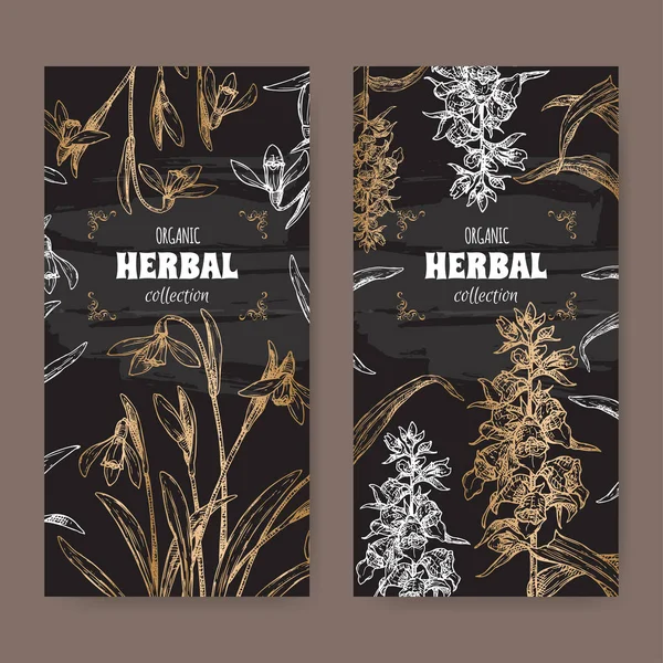 Dois rótulos com Digitalis lanata aka luva de raposa lanosa e Galanthus nivalis aka snowdrop sketch em preto . —  Vetores de Stock
