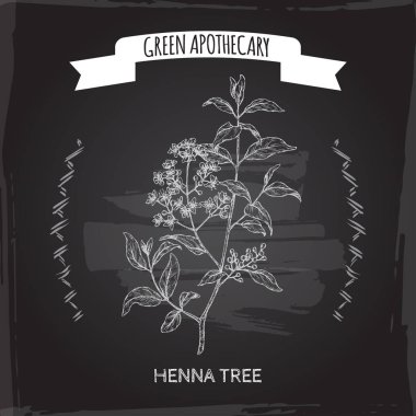 Lawsonia inermis aka kına ağacı kroki siyah. Yeşil eczacı serisi.