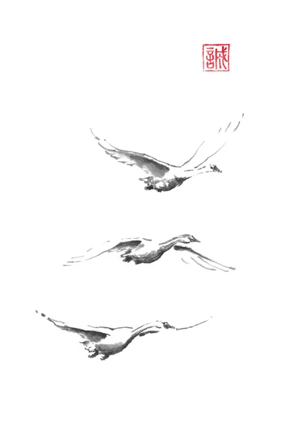 Três cisnes voadores estilo japonês original pintura de tinta sumi-e . — Fotografia de Stock