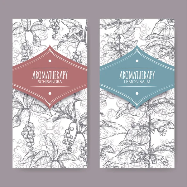 Limon merhem aka Melissa officinalis ve zarif dantel arka plan üzerinde Schisandra chinensis kroki ile iki etiket.