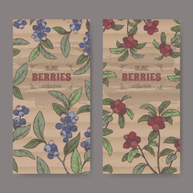 Üzerinde yaban mersini, diğer adıyla Vaccinium corymbosum ve Cranberry diğer adıyla Vaccinium oxycoccos şubesi çizimi olan iki koor etiketi..