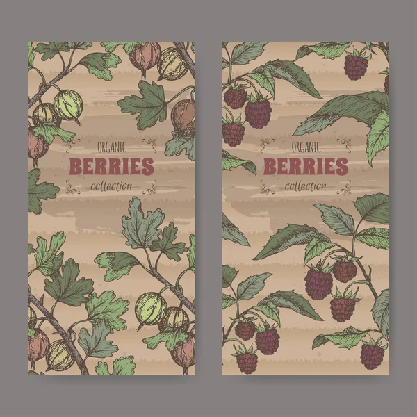 Set aus zwei Farbetiketten mit Roter Himbeere aka Rubus idaeus und Stachelbeere aka Ribes uva-crispa Skizze. — Stockvektor