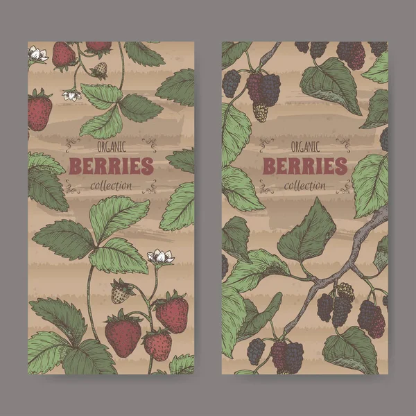 Två etiketter med trädgård jordgubbar aka Fragaria anananassa och svart mullbär aka Morus nigra gren färg skiss. — Stock vektor