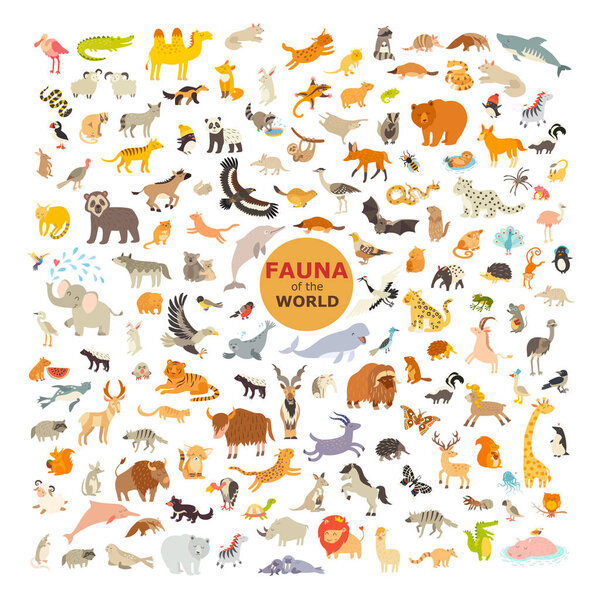 Animal cartoon vector illustration. Fauna icon set. Big collection of animals  isolated on a white background