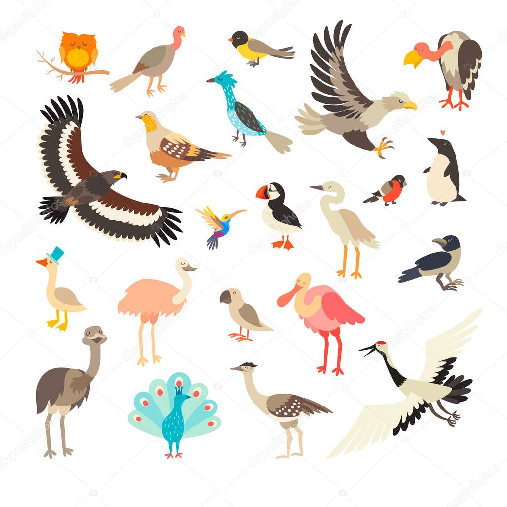 Birds collection vector set. Cartoon bird characters collection. Bird of the world. Isolated on white background