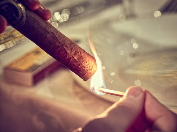 Puro sigara. Yumuşak odak  