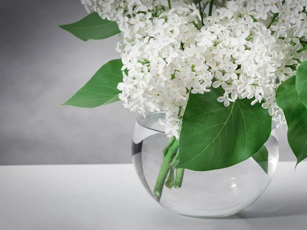 Beyaz yumuşak odak leylak     