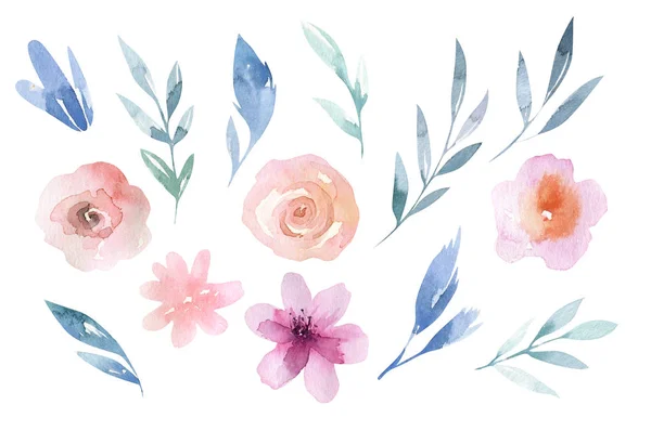 Set Hand Drawn Watercolor Flowers Leaves — Stock Photo, Image