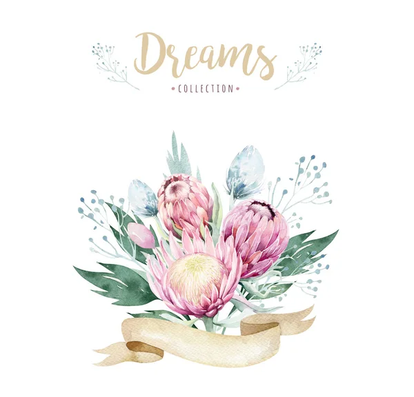 Hand Tekenen Geïsoleerde Aquarel Bloemen Illustratie Met Protea Steeg Bladeren — Stockfoto