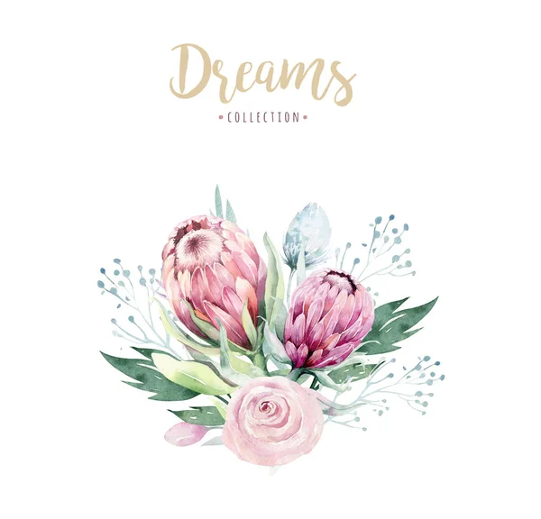 Desenho Mão Ilustração Floral Aquarela Isolada Com Protea Rosa Folhas — Fotografia de Stock