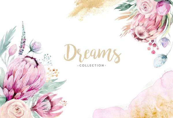 Protea Stock Photos, Royalty Free Protea Images | Depositphotos