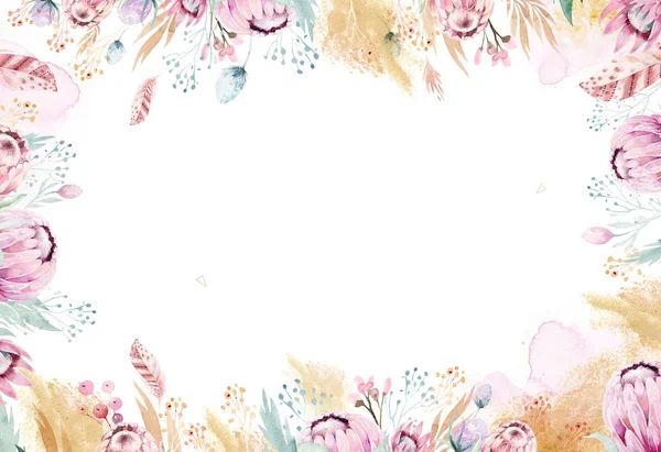 Рука Графічних Ізольовані Аквареллю Квіткові Ілюстрації Protea Зросли Листя Гілки — стокове фото