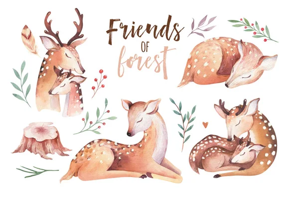 Söt Akvarell Baby Deer Djur Plantskola Isolerade Illustration För Barn — Stockfoto