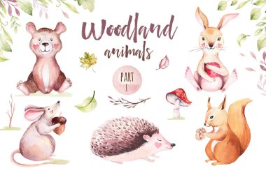 Cute baby animal nursery mouse, rabbit and bear isolated illustration for children. Watercolor boho forest drawing squirrel, watercolour, hedgehog image Perfect for nursery posters, pattern