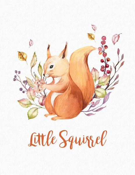 Cute Baby Animal Nursery Isolated Illustration Children Watercolor Boho Forest — Stock Photo, Image