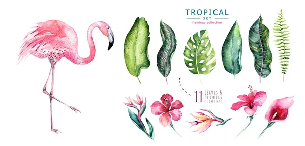 Hand drawn watercolor tropical birds set of flamingo. Exotic rose bird illustrations, jungle tree, brazil trendy. Perfect for fabric design. Aloha collection.
