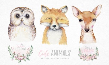 Orman karikatür izole şirin bebek fox, geyik ve baykuş hayvan çiçekli suluboya kümesi. Kreş ormanlık illüstrasyon. Bohem boho için kreş poster, desen çizim