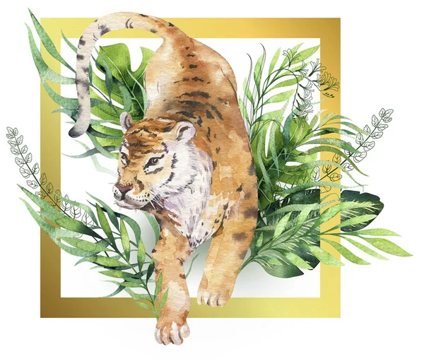 Ilustração tigre aquarela e paraíso de verão folhas tropicais selva imprimir com moldura. Palmeiras e flores isoladas o branco . — Fotografia de Stock