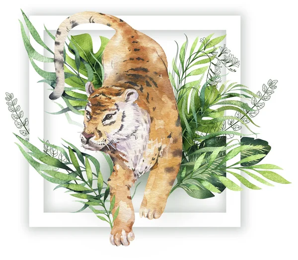 Ilustração tigre aquarela e paraíso de verão folhas tropicais selva imprimir com moldura. Palmeiras e flores isoladas o branco . — Fotografia de Stock