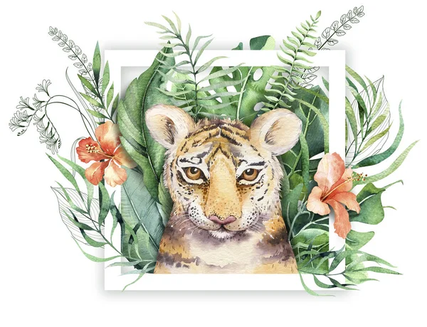 Illustrazione tigre acquerello e paradiso estivo foglie tropicali stampa giungla con cornice. Pianta di palma e fiori isolati o bianchi . — Foto Stock