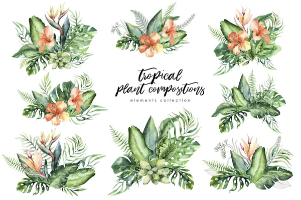 Hand getekend aquarel tropische bloem boeket samenstelling. Exotische palmbladeren, jungle boom, Brazilië tropic plantkunde elementen en bloemen. Perfect voor een weefsel ontwerp. Aloha collectie. — Stockfoto