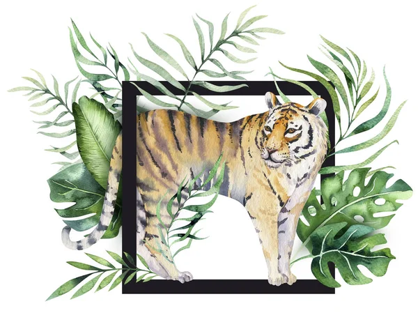 Suluboya tiger şekil ve yaz cennet tropikal orman çerçeve ile yazdırma bırakır. Palm bitki ve çiçek izole o beyaz. — Stok fotoğraf