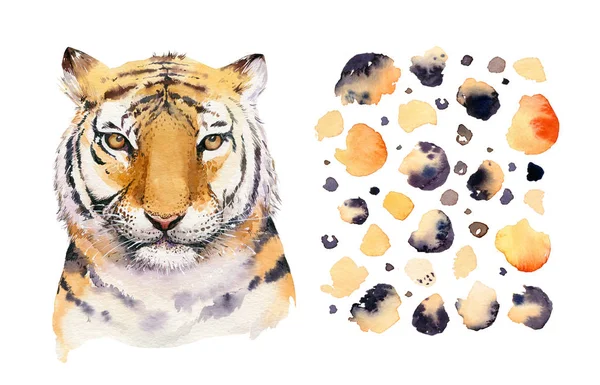 Akvarell tropiska tiger djur isolerade illustration, vild katt axotic djur. plantera monstera, lianer djungel konstverk. Fasion tryckdesign. — Stockfoto