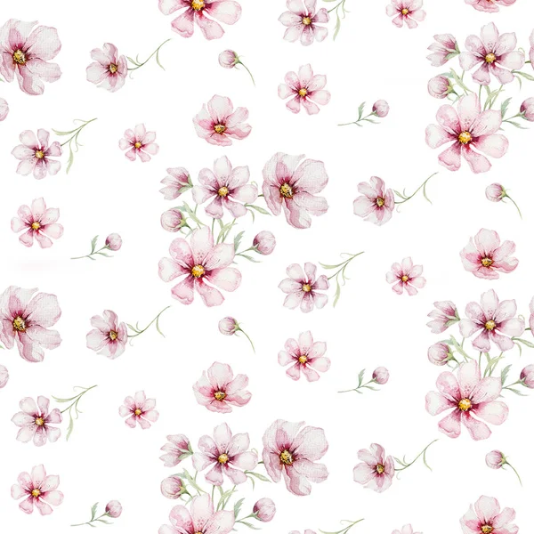 Χωρίς Ραφή Πρότυπο Ροζ Άνθος Κερασιάς Λουλούδια Στυλ Υδατογραφίας Λευκό — Φωτογραφία Αρχείου