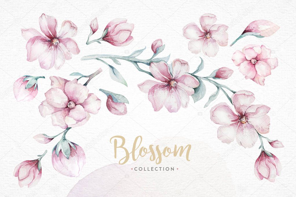 wreath of blossom pink cherry flowers in watercolor style with white background. Set of summer blooming sakura branch decoration