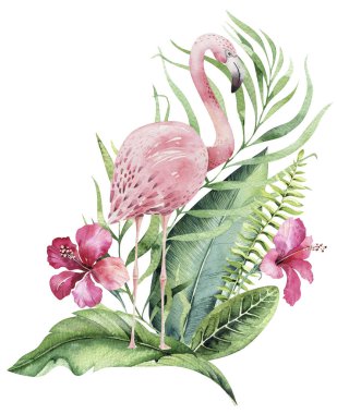 El flamingo suluboya tropikal kuşlar set çekilmiş. Egzotik kuş illüstrasyonlar, orman ağacı, Brezilya trendy gül. Kumaş tasarım için mükemmel. Aloha koleksiyonu.