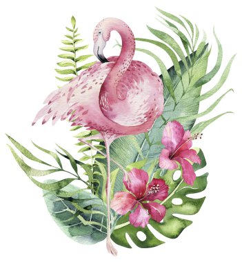 El flamingo suluboya tropik kuş kümesi çekilmiş. Egzotik kuş illüstrasyonlar, Orman ağacı, Brezilya trendy gül. Kumaş tasarım için mükemmel. Aloha koleksiyonu.