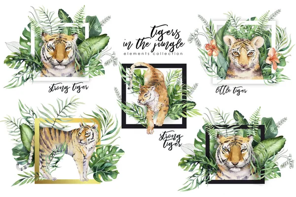 Illustration Tigre Aquarelle Imprimé Feuilles Tropicales Paradis Été Palmier Fleur — Photo