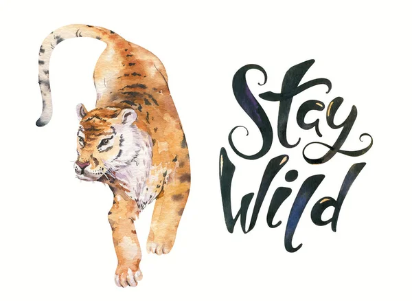 Watercolor Tropical Tiger Animal Isolated Illustration Wild Cat Axotic Animals — Stock Photo, Image