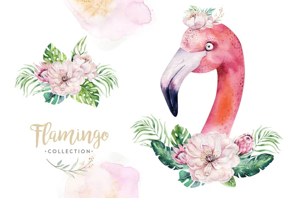 Hand drawn watercolor tropical bird set of flamingo. Exotic rose bird illustrations, jungle tree, brazil trendy. Perfect for fabric design. Aloha collection.