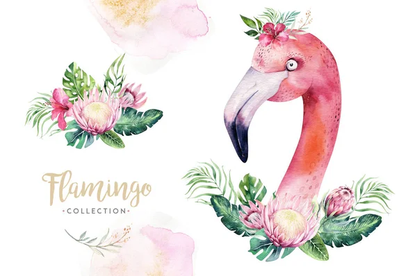 Hand drawn watercolor tropical bird set of flamingo. Exotic rose bird illustrations, jungle tree, brazil trendy. Perfect for fabric design. Aloha collection.