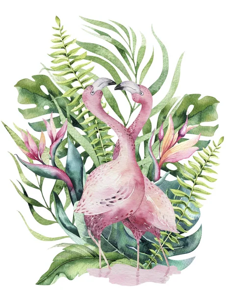 Hand drawn watercolor tropical birds set of flamingos. Exotic rose bird illustrations, jungle tree, brazil trendy. Perfect for fabric design. Aloha collection.