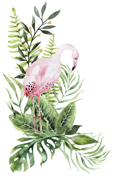 Aquarelle Dessinée Main Ensemble Oiseaux Tropicaux Flamant Rose Illustrations Exotiques — Photo